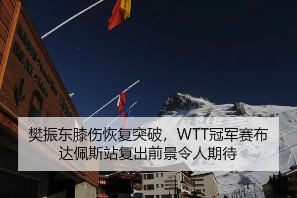 樊振东膝伤恢复突破，WTT冠军赛布达佩斯站复出前景令人期待