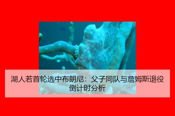 湖人若首轮选中布朗尼：父子同队与詹姆斯退役倒计时分析