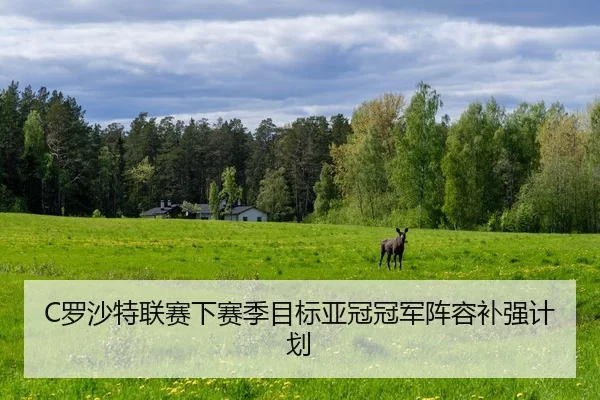 luo-sha-te-lian-sai-xia-sai-ji-mu-biao-ya-guan-guan-jun-zhen-rong-bu-qiang-ji-hua-2-364.jpg